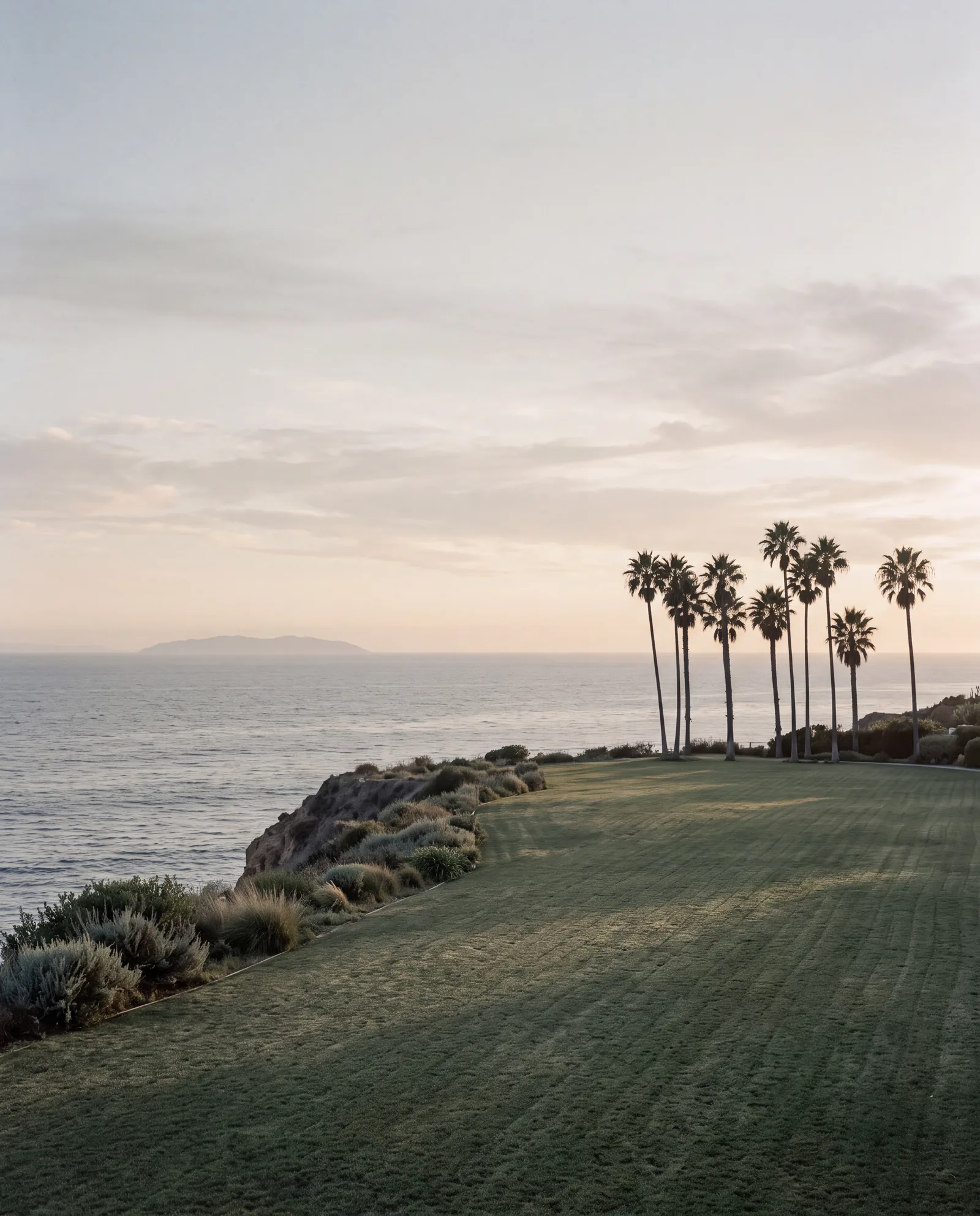 The lawn on the bluff above Santa Monica Bay at golden hour