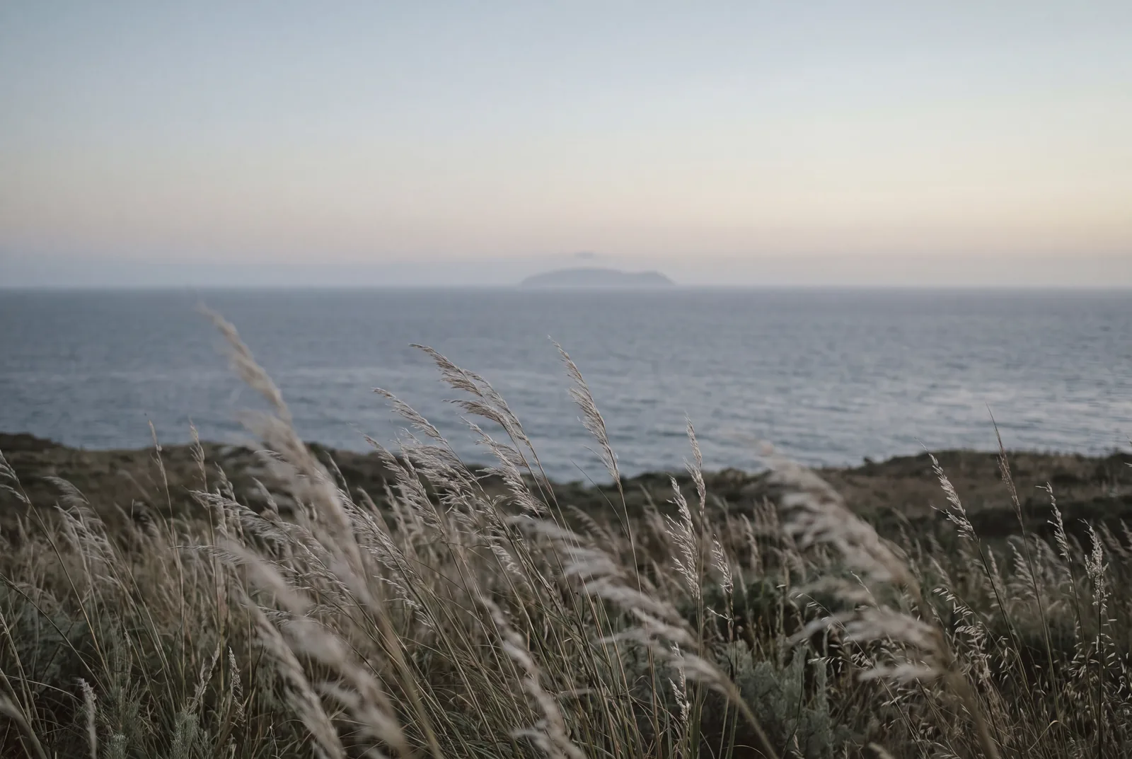 The Pacific from the bluff, Catalina faint on the horizon